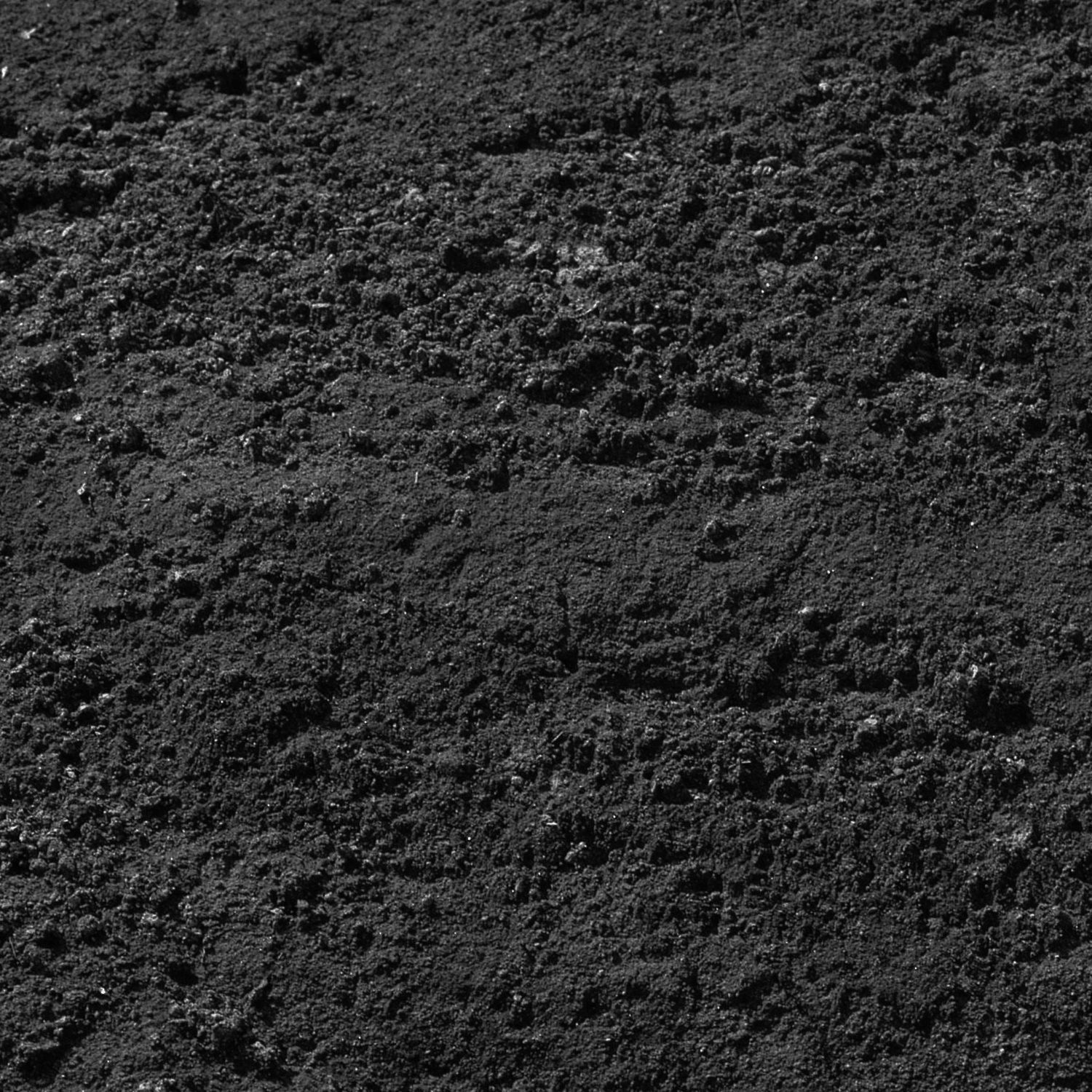 potted plant Low-poly 3D model_10