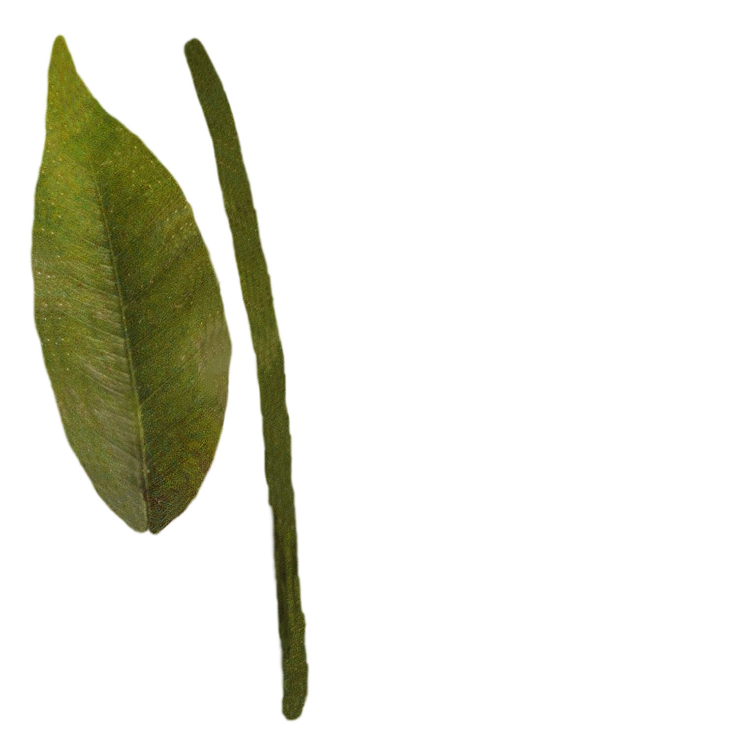 potted plant Low-poly 3D model_3