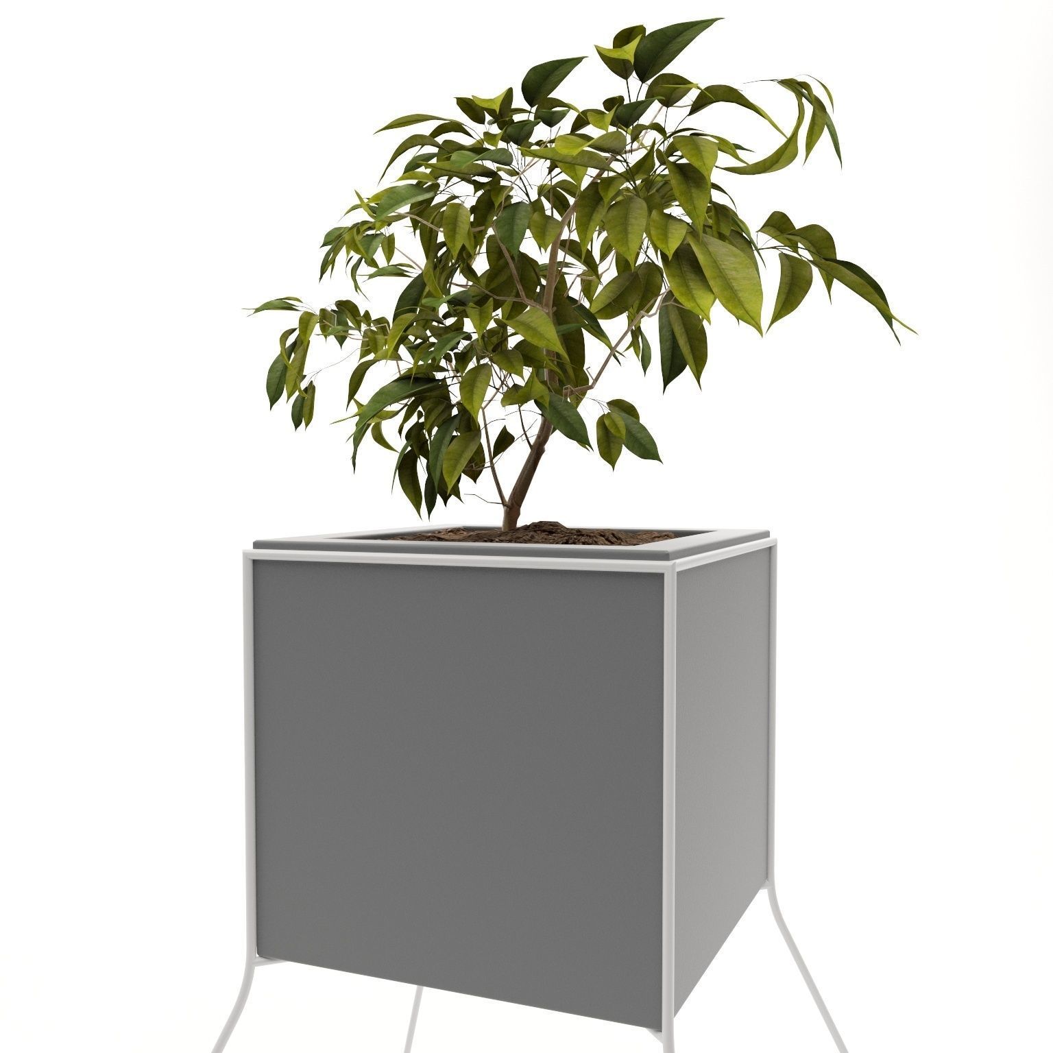 potted plant Low-poly 3D model_8