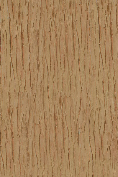 potted plant Low-poly 3D model_1