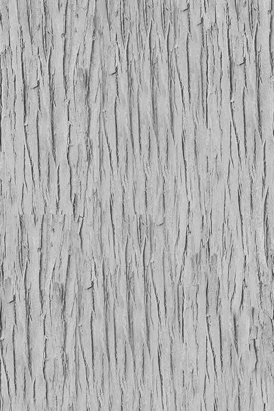 potted plant Low-poly 3D model_0