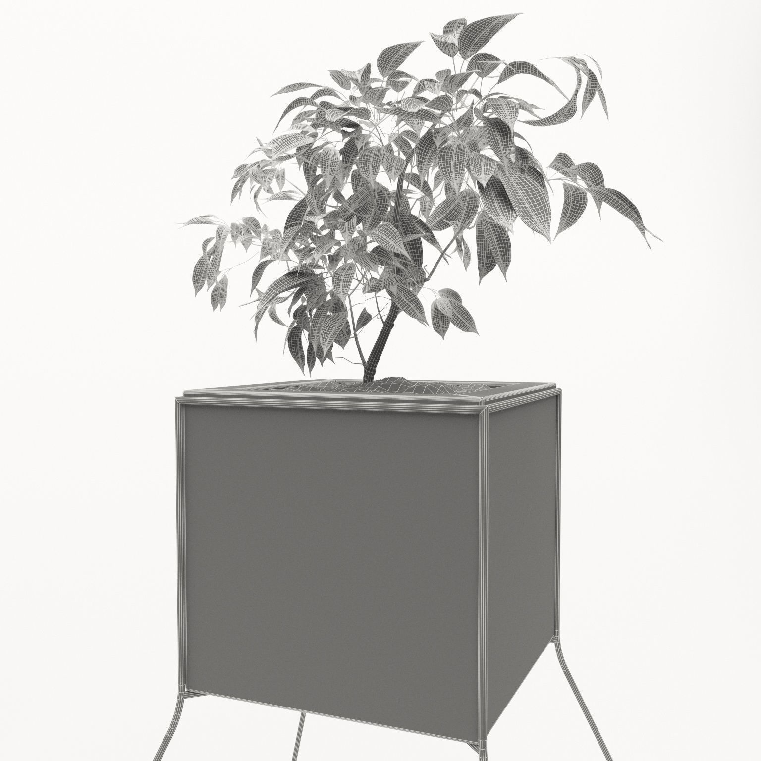 potted plant Low-poly 3D model_9