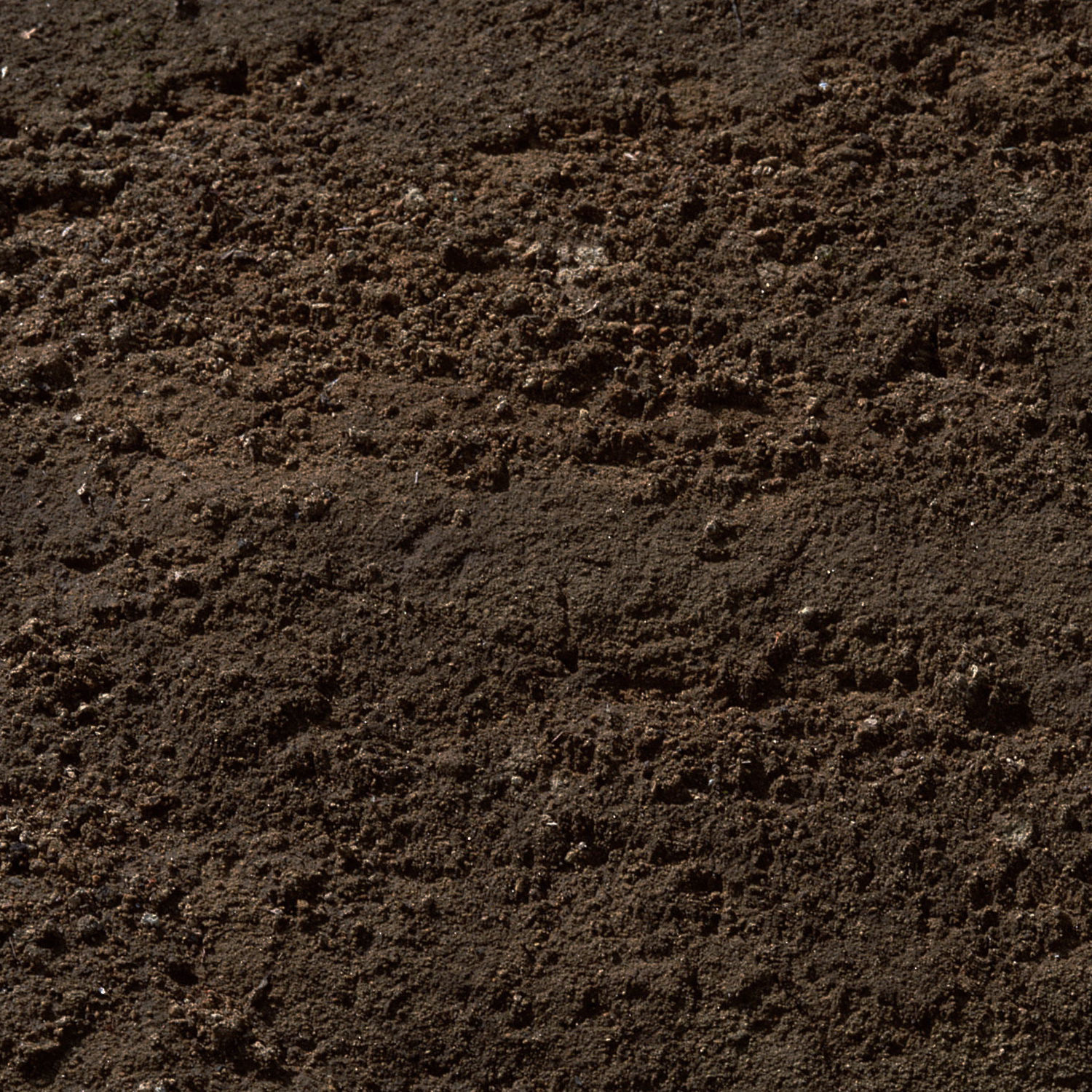 potted plant Low-poly 3D model_11