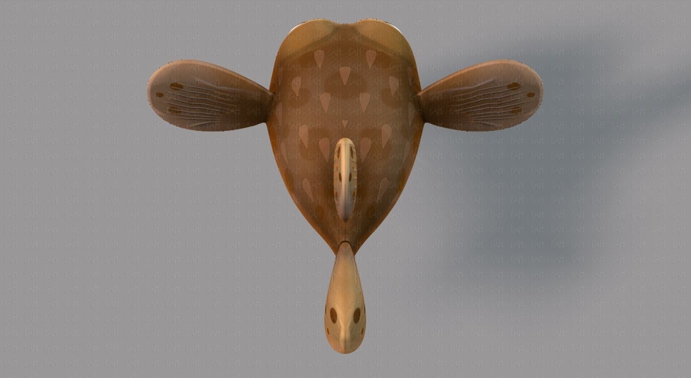Fish V06 Low-poly 3D model_21
