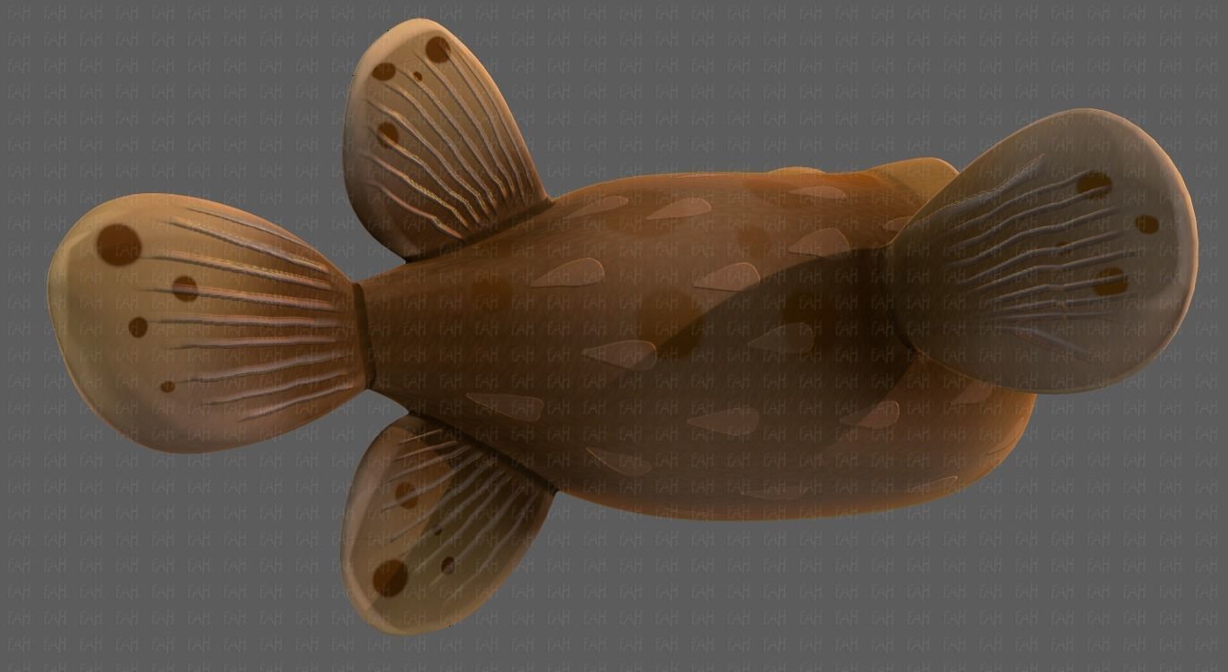 Fish V06 Low-poly 3D model_39