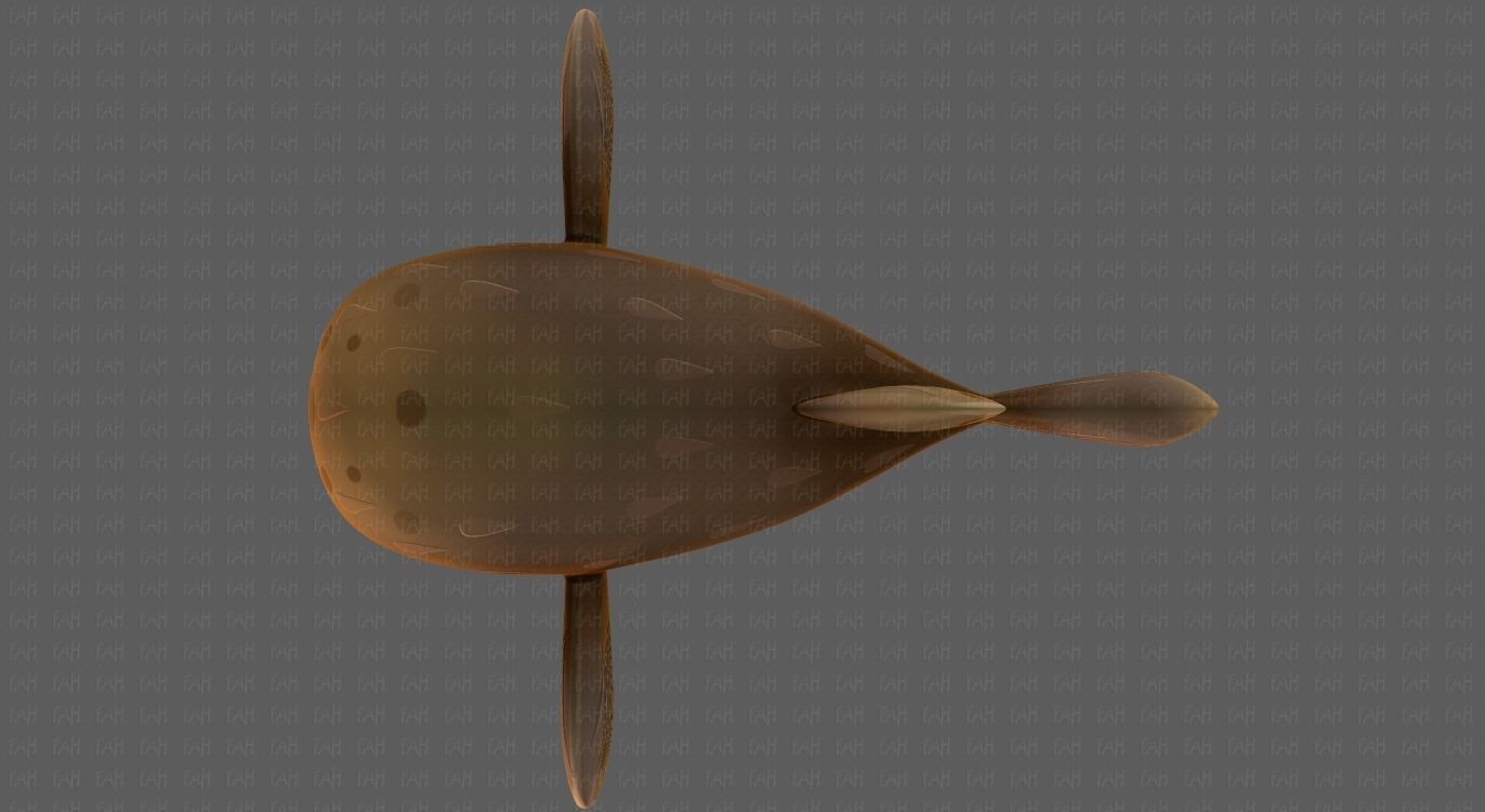 Fish V06 Low-poly 3D model_37