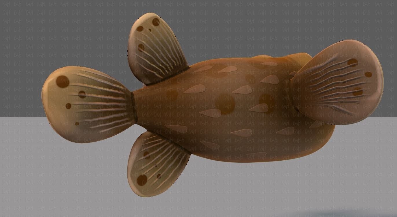 Fish V06 Low-poly 3D model_4
