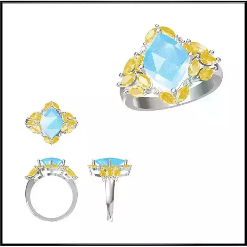 JCD Format Antique color stone rings jewelry cad cam masters