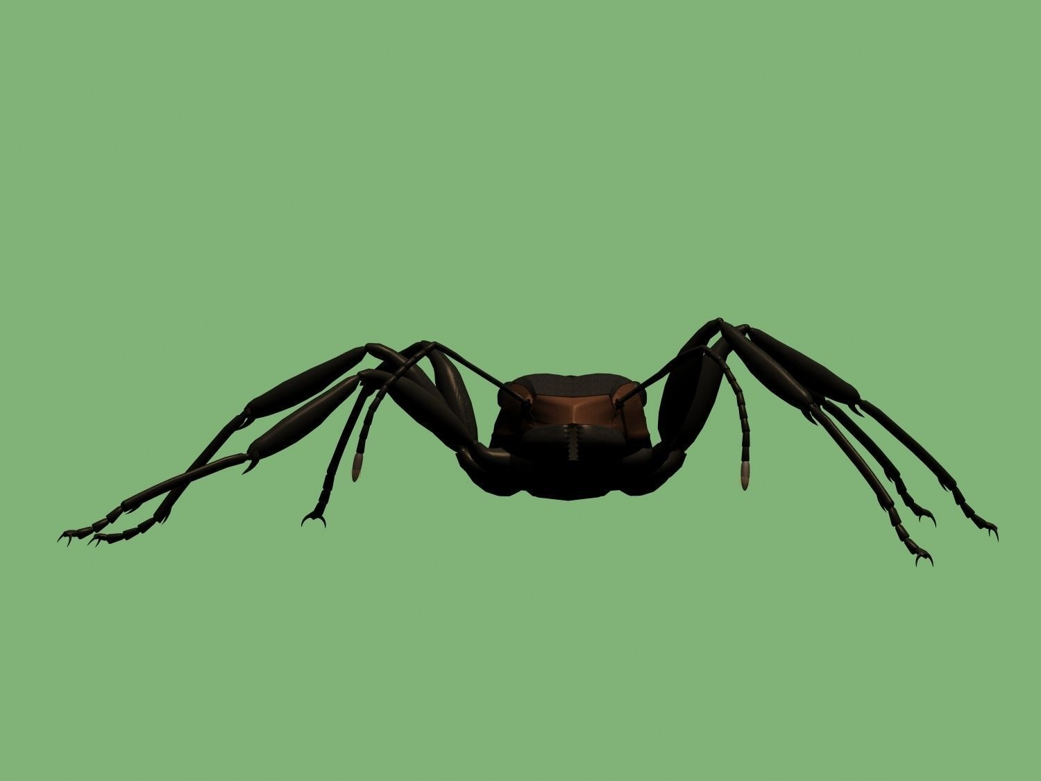 Soldier ant 3D model_1