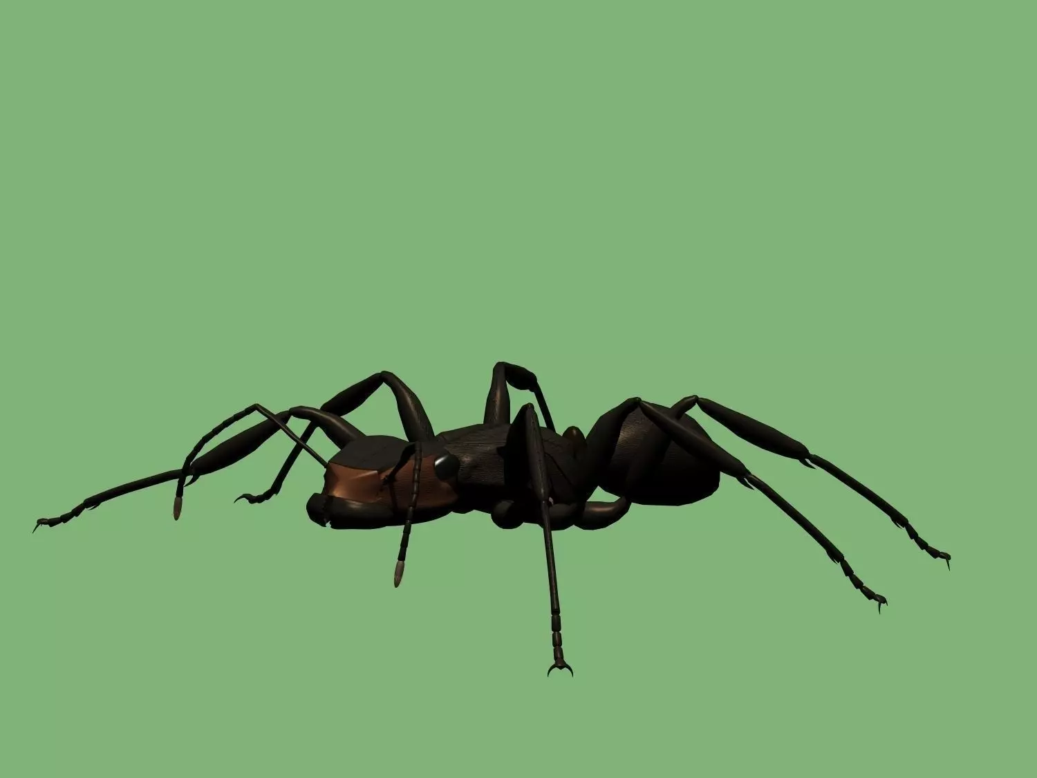 Soldier ant 3D model_0