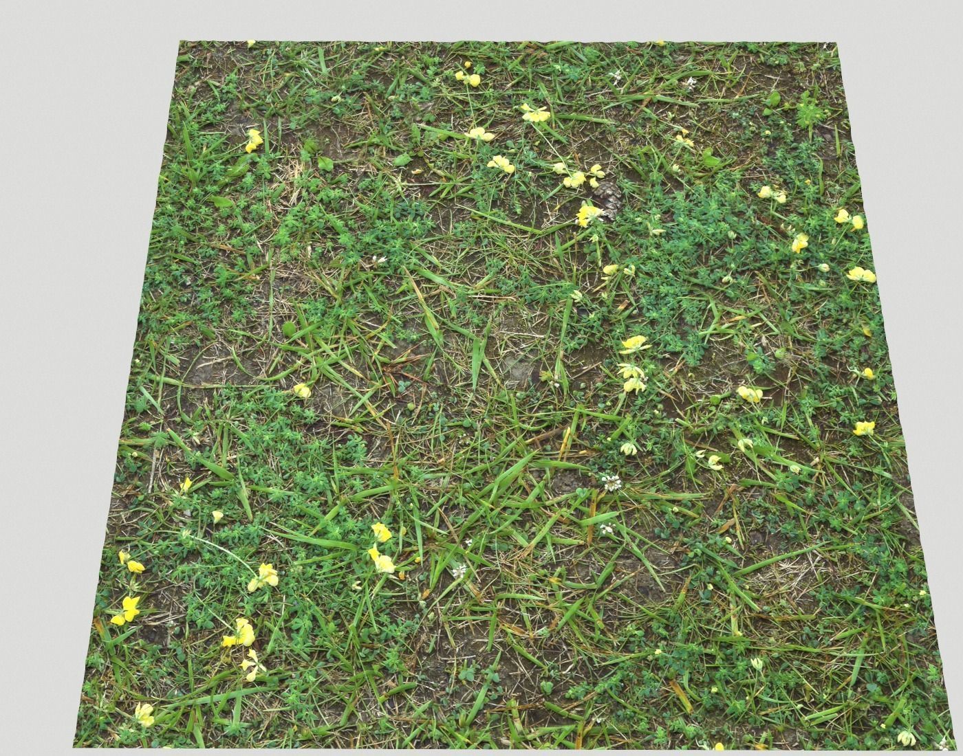 Forest Terrain Pack PBR 17 Texture_24