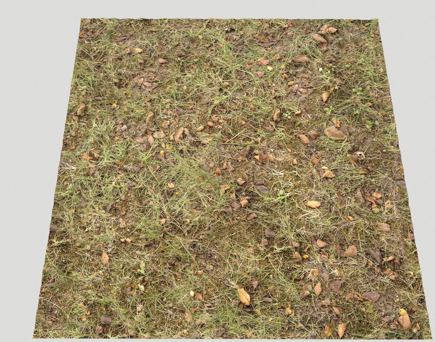 Forest Terrain Pack PBR 17 Texture_23