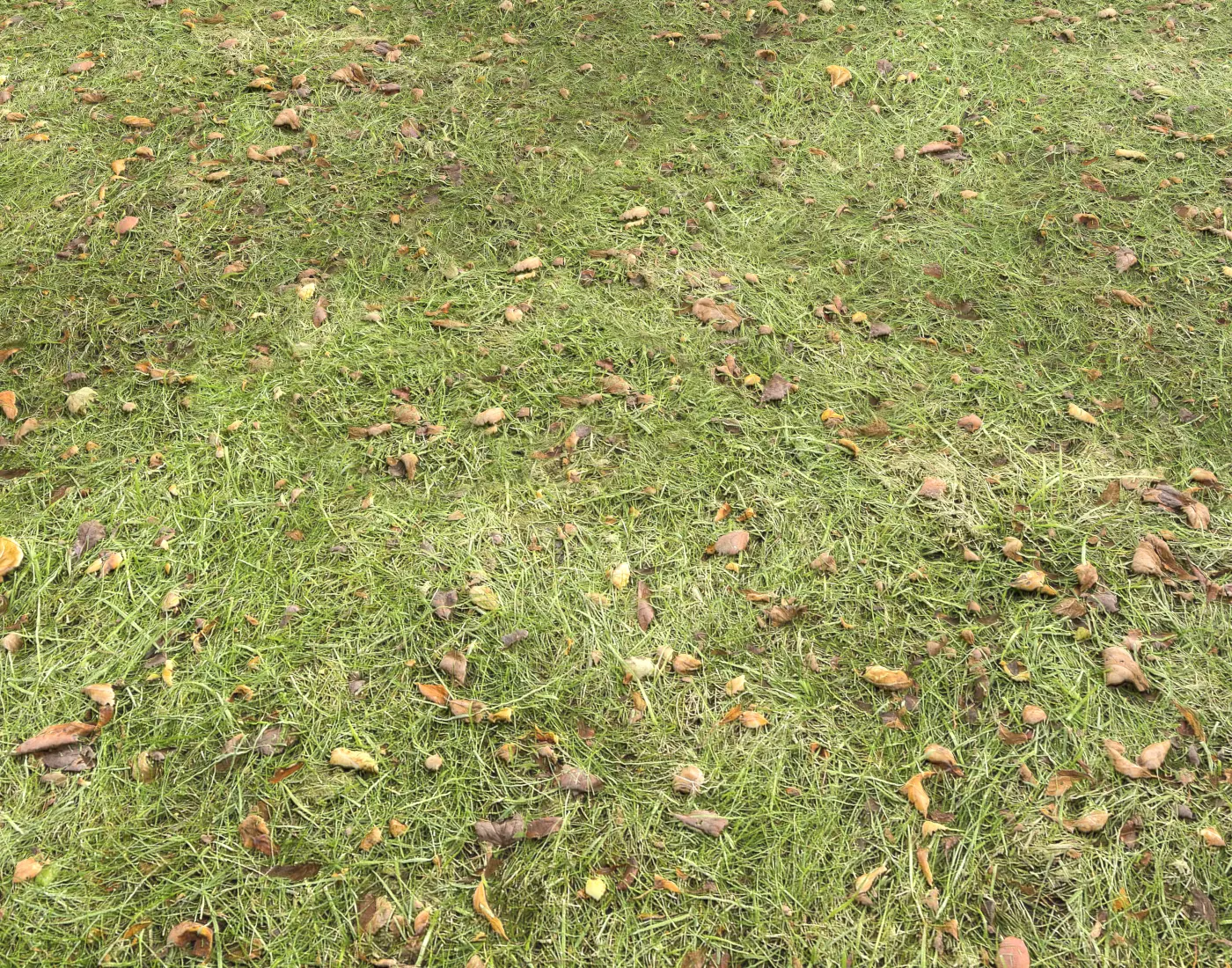 Forest Terrain Pack PBR 17 Texture_0