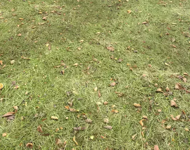 Forest Terrain Pack PBR 17