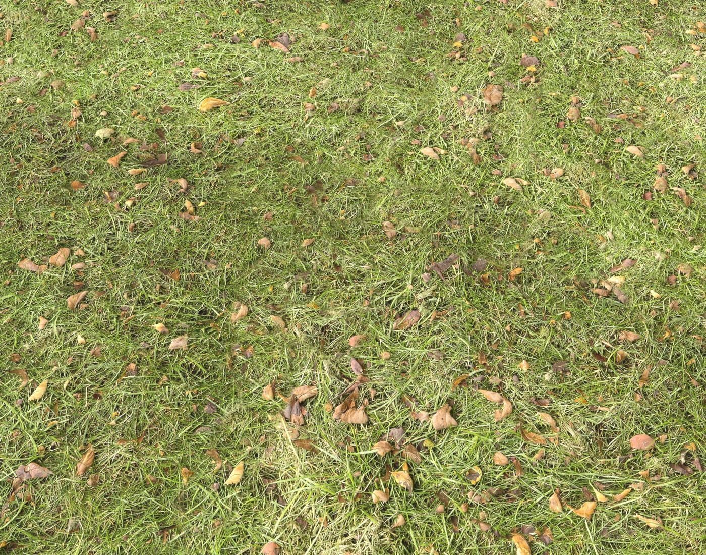 Forest Terrain Pack PBR 17 Texture_8