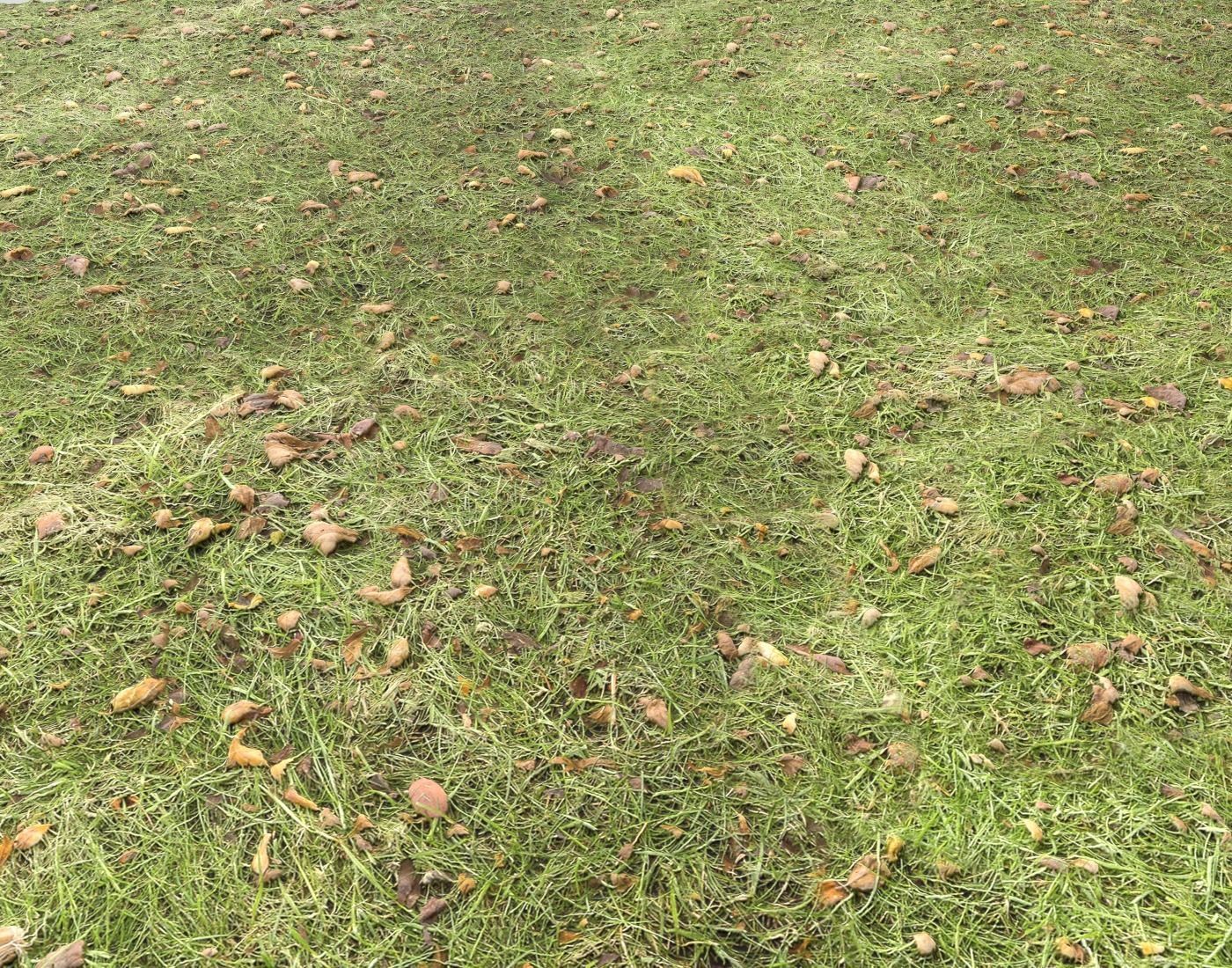 Forest Terrain Pack PBR 17 Texture_7