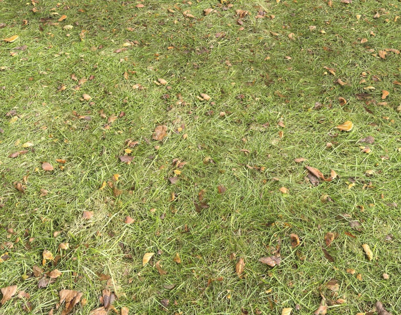 Forest Terrain Pack PBR 17 Texture_6