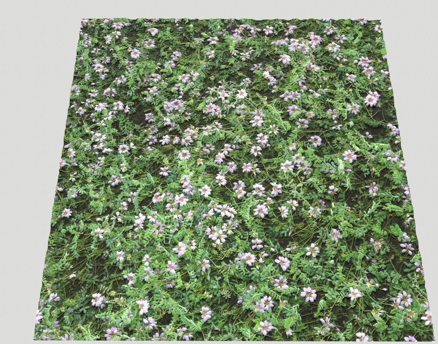 Forest Terrain Pack PBR 17 Texture_22