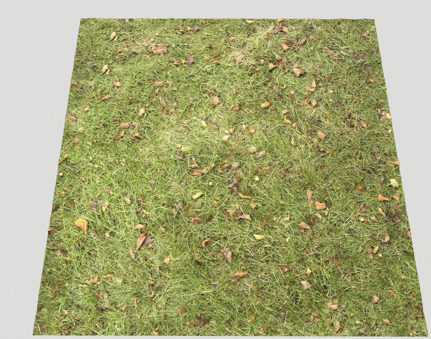 Forest Terrain Pack PBR 17 Texture_21