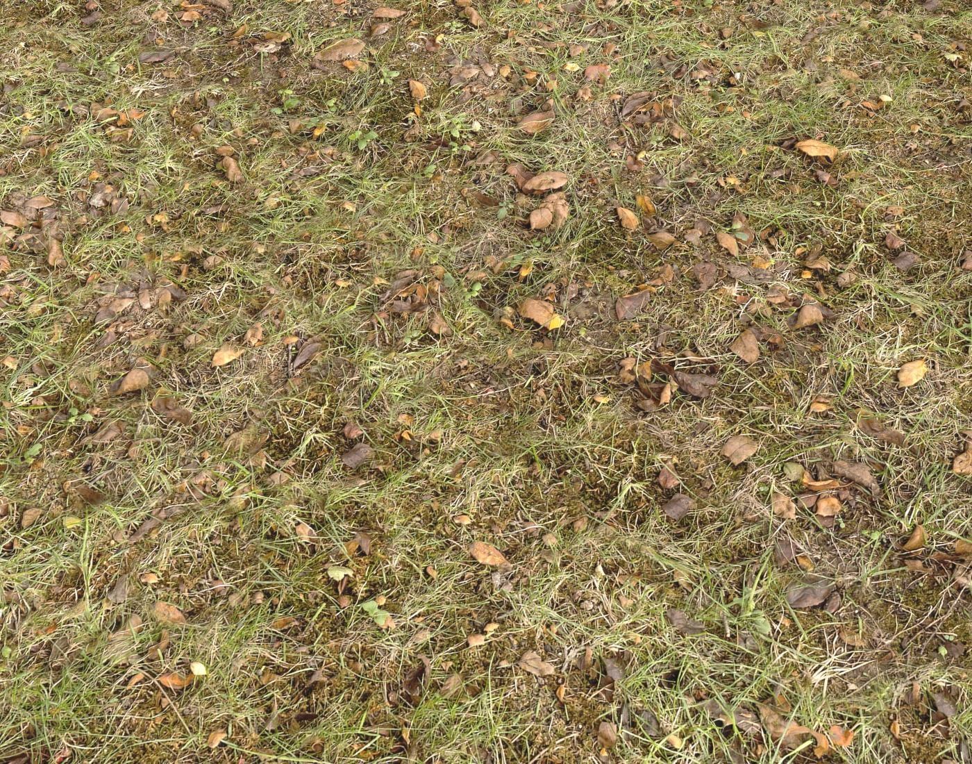 Forest Terrain Pack PBR 17 Texture_13