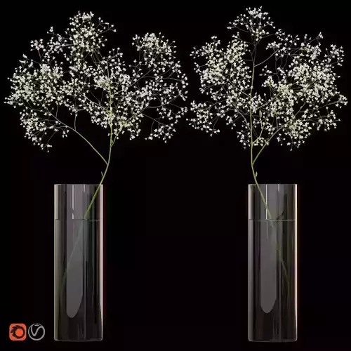 Gypsophila flower in vase