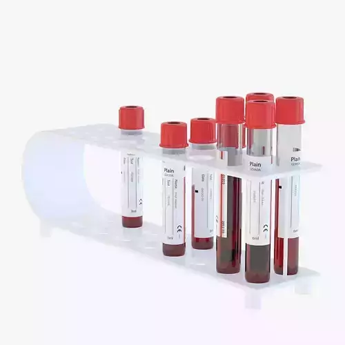 Labolatory Test Tubes 3D model