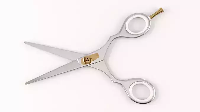 Scissors pair of