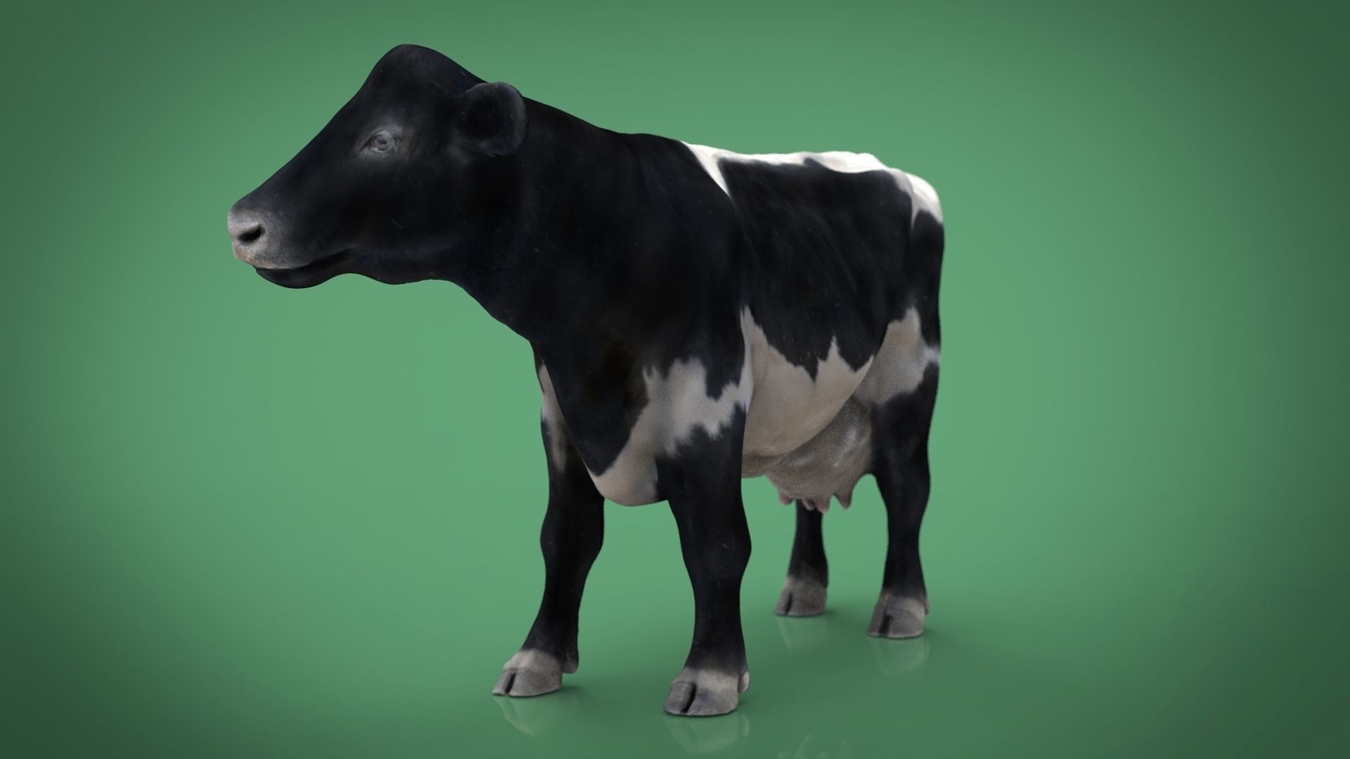 REALISTIC COW Low-poly 3D model_3