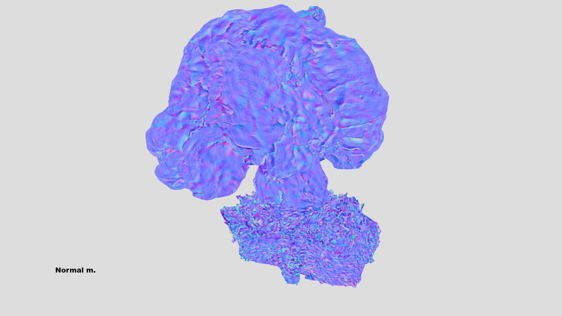 Gyromitra brain mushroom  lorchel  fausse morille 3D model 3D model_35