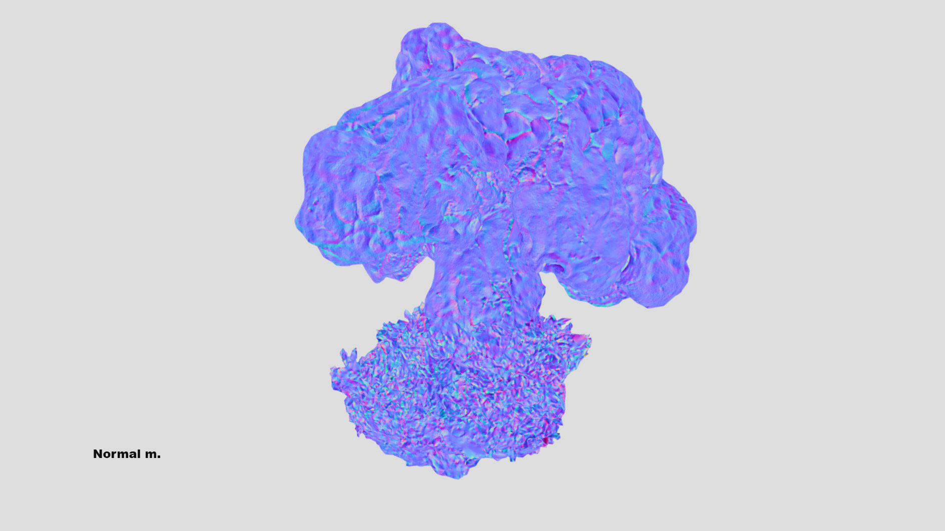 Gyromitra brain mushroom  lorchel  fausse morille 3D model 3D model_41