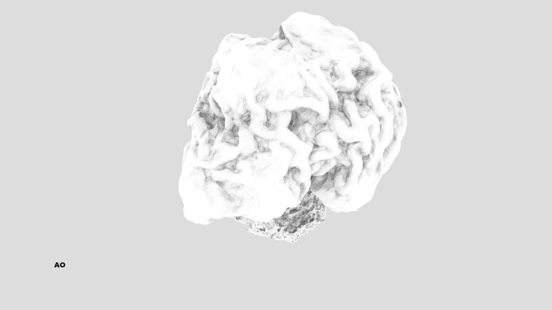 Gyromitra brain mushroom  lorchel  fausse morille 3D model 3D model_56