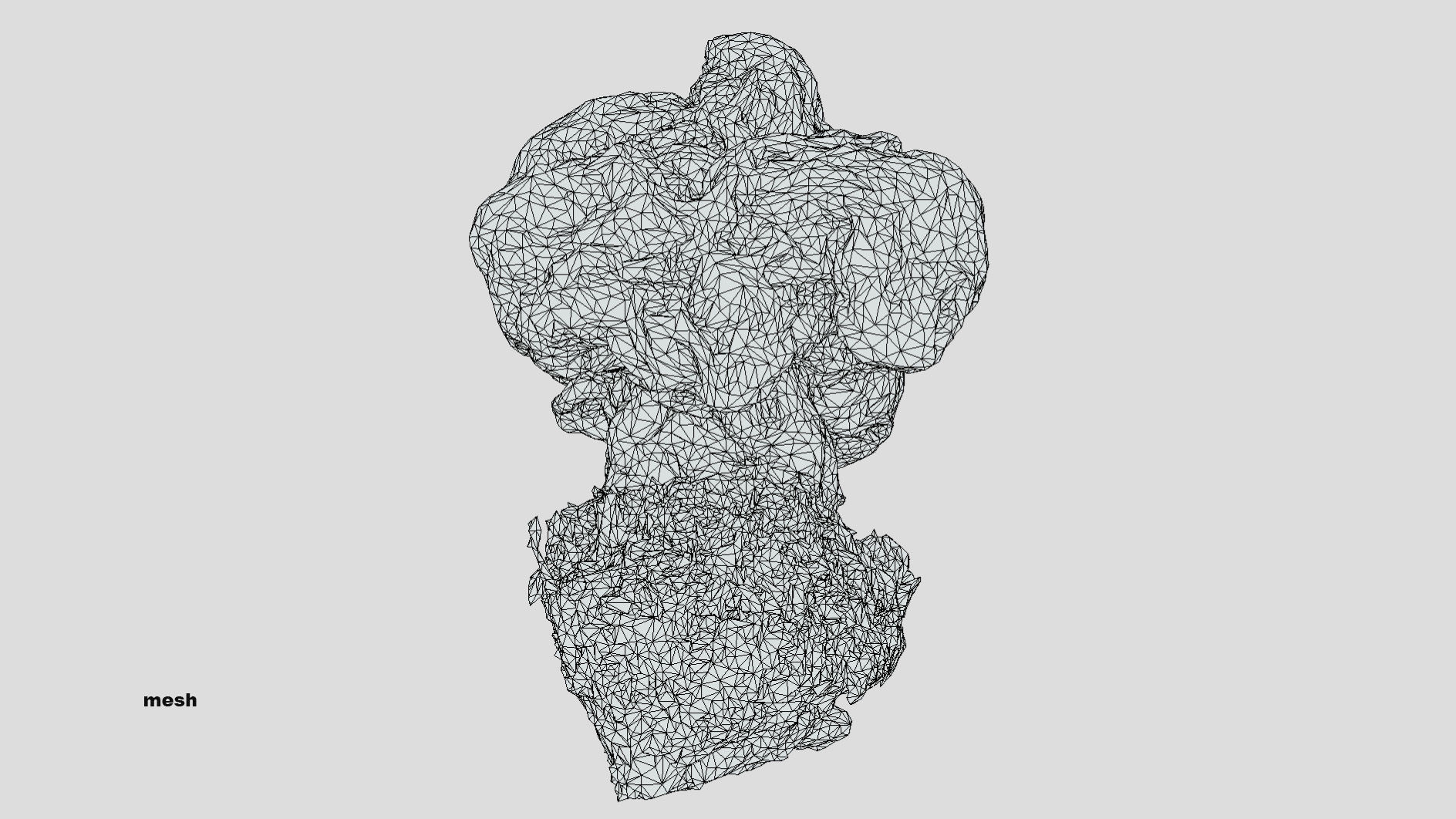 Gyromitra brain mushroom  lorchel  fausse morille 3D model 3D model_46