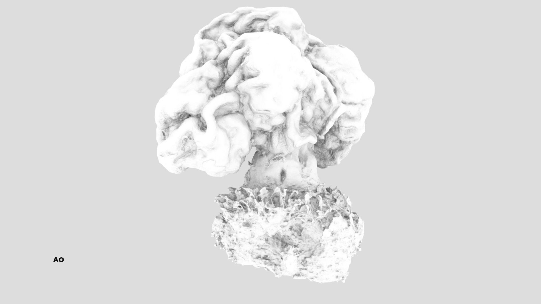 Gyromitra brain mushroom  lorchel  fausse morille 3D model 3D model_30