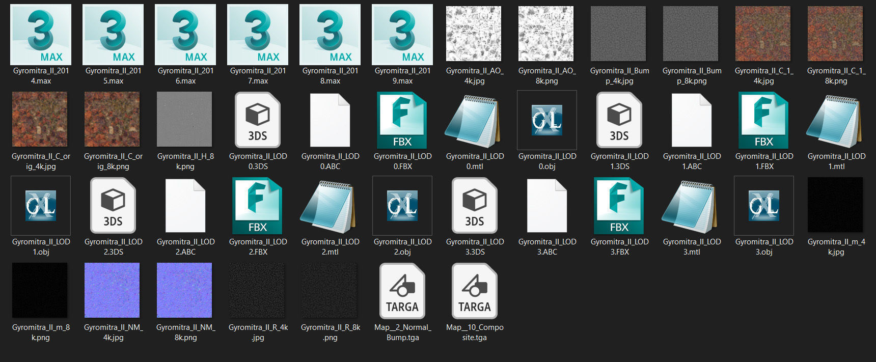 Gyromitra brain mushroom  lorchel  fausse morille 3D model 3D model_61