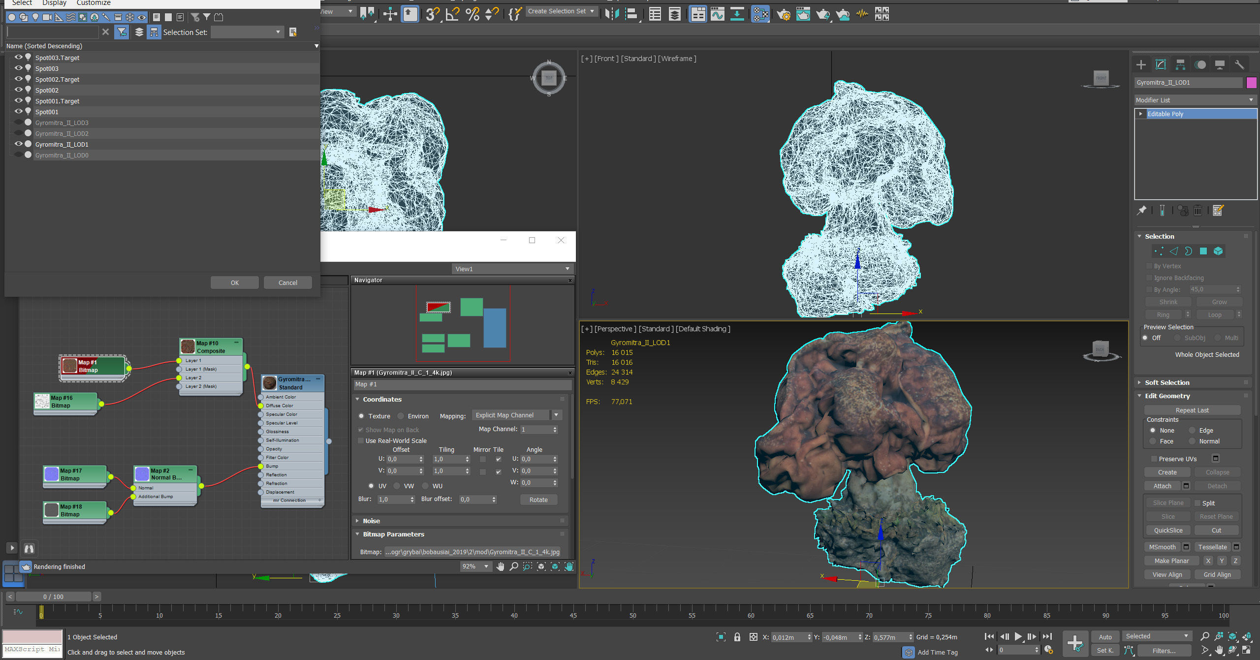 Gyromitra brain mushroom  lorchel  fausse morille 3D model 3D model_59