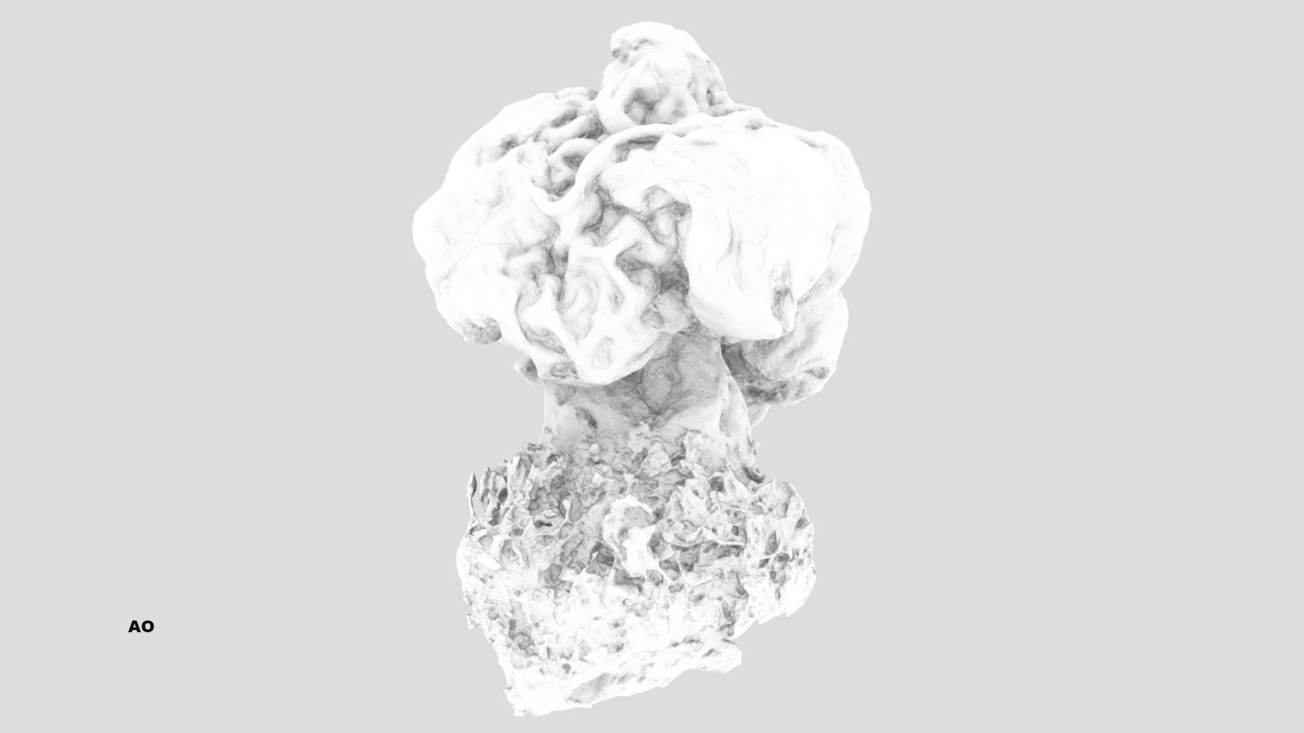 Gyromitra brain mushroom  lorchel  fausse morille 3D model 3D model_28