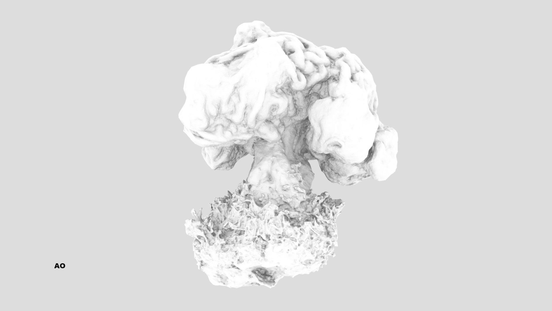 Gyromitra brain mushroom  lorchel  fausse morille 3D model 3D model_27