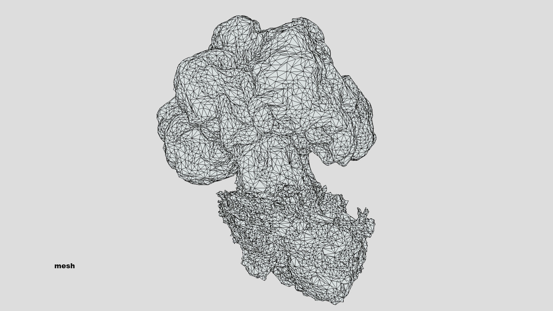 Gyromitra brain mushroom  lorchel  fausse morille 3D model 3D model_47