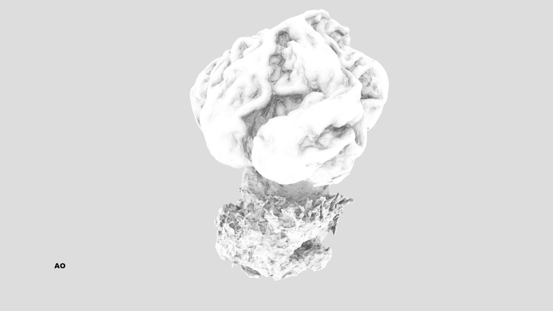 Gyromitra brain mushroom  lorchel  fausse morille 3D model 3D model_31