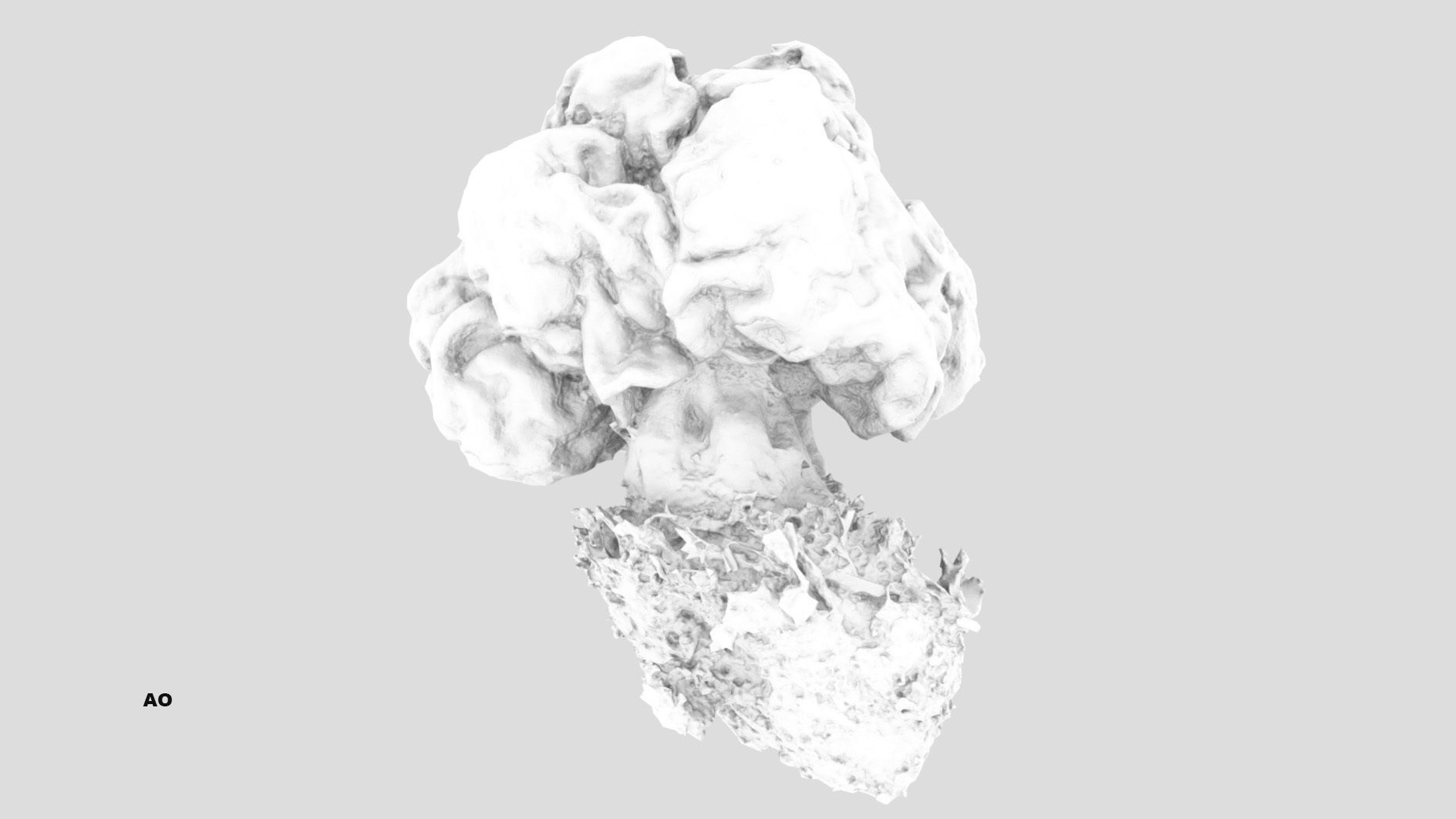 Gyromitra brain mushroom  lorchel  fausse morille 3D model 3D model_29