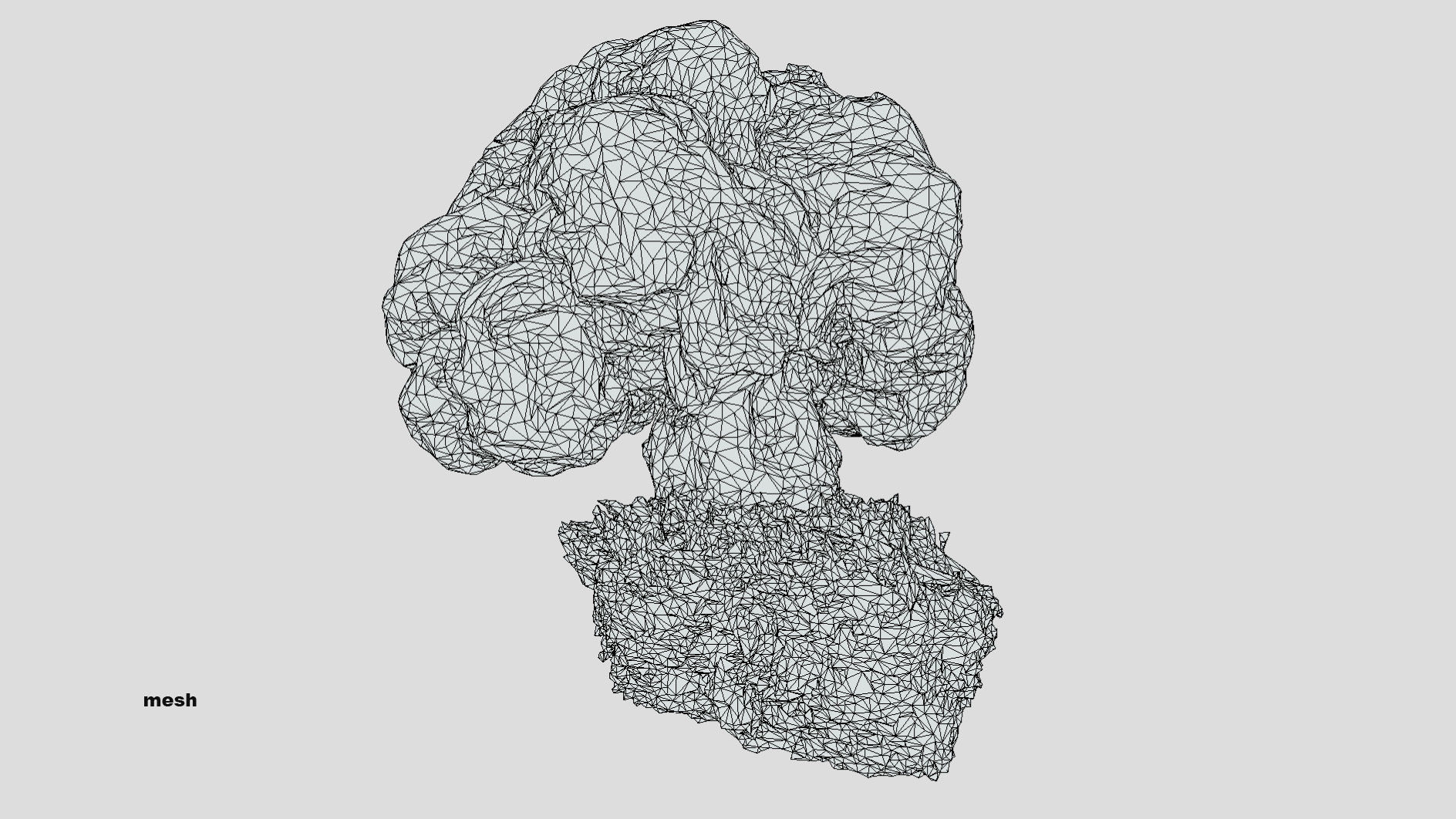 Gyromitra brain mushroom  lorchel  fausse morille 3D model 3D model_49