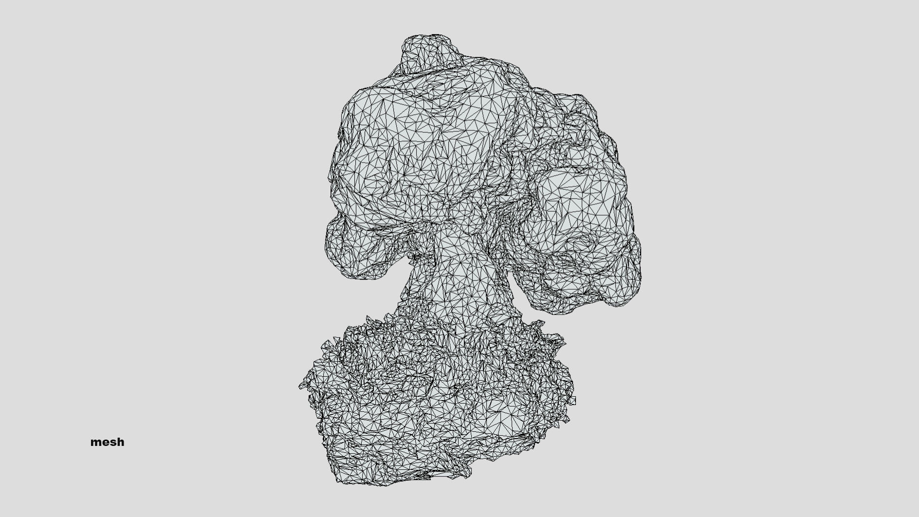 Gyromitra brain mushroom  lorchel  fausse morille 3D model 3D model_44