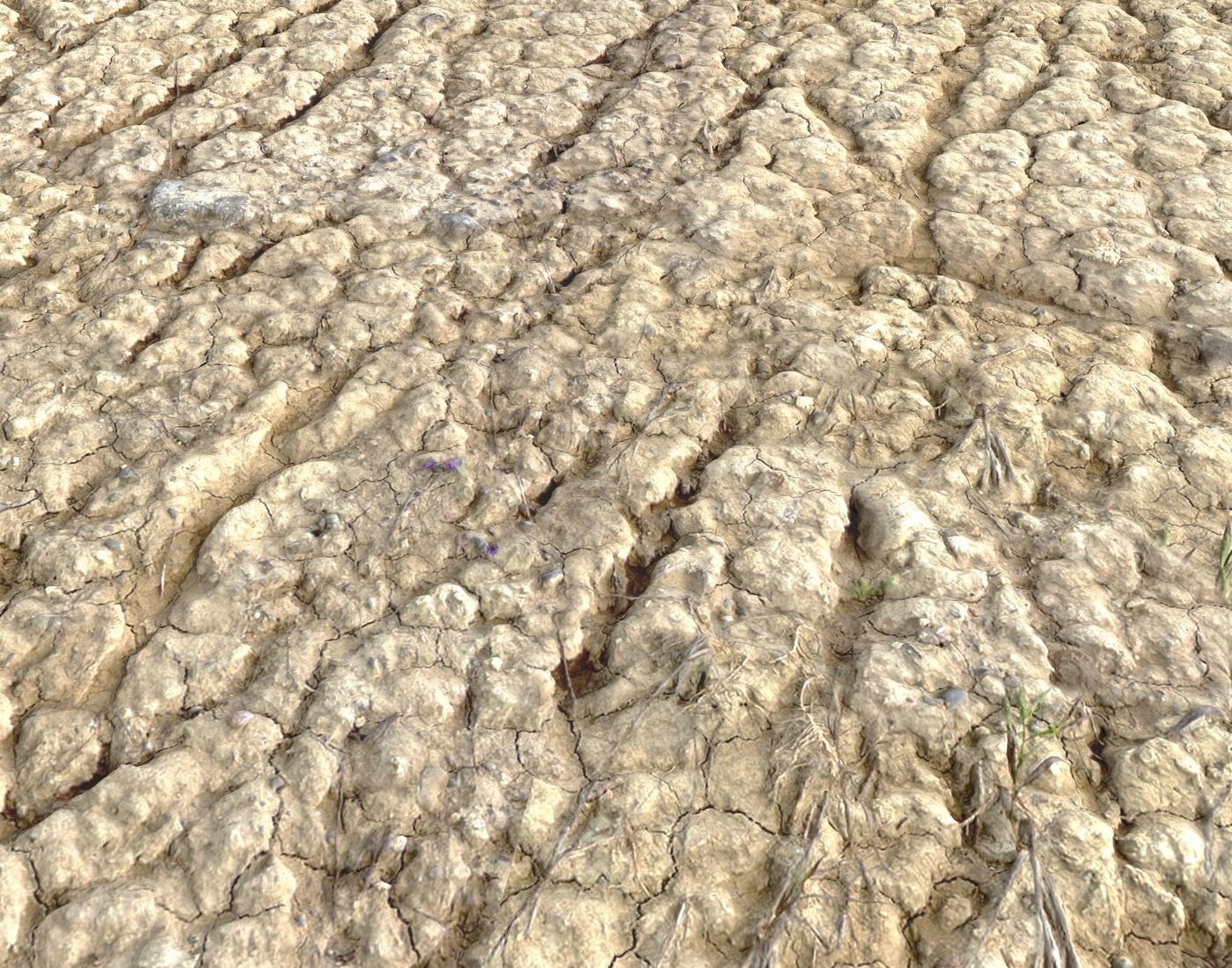 Wasteland ground texture PBR Pack 1 Texture_14