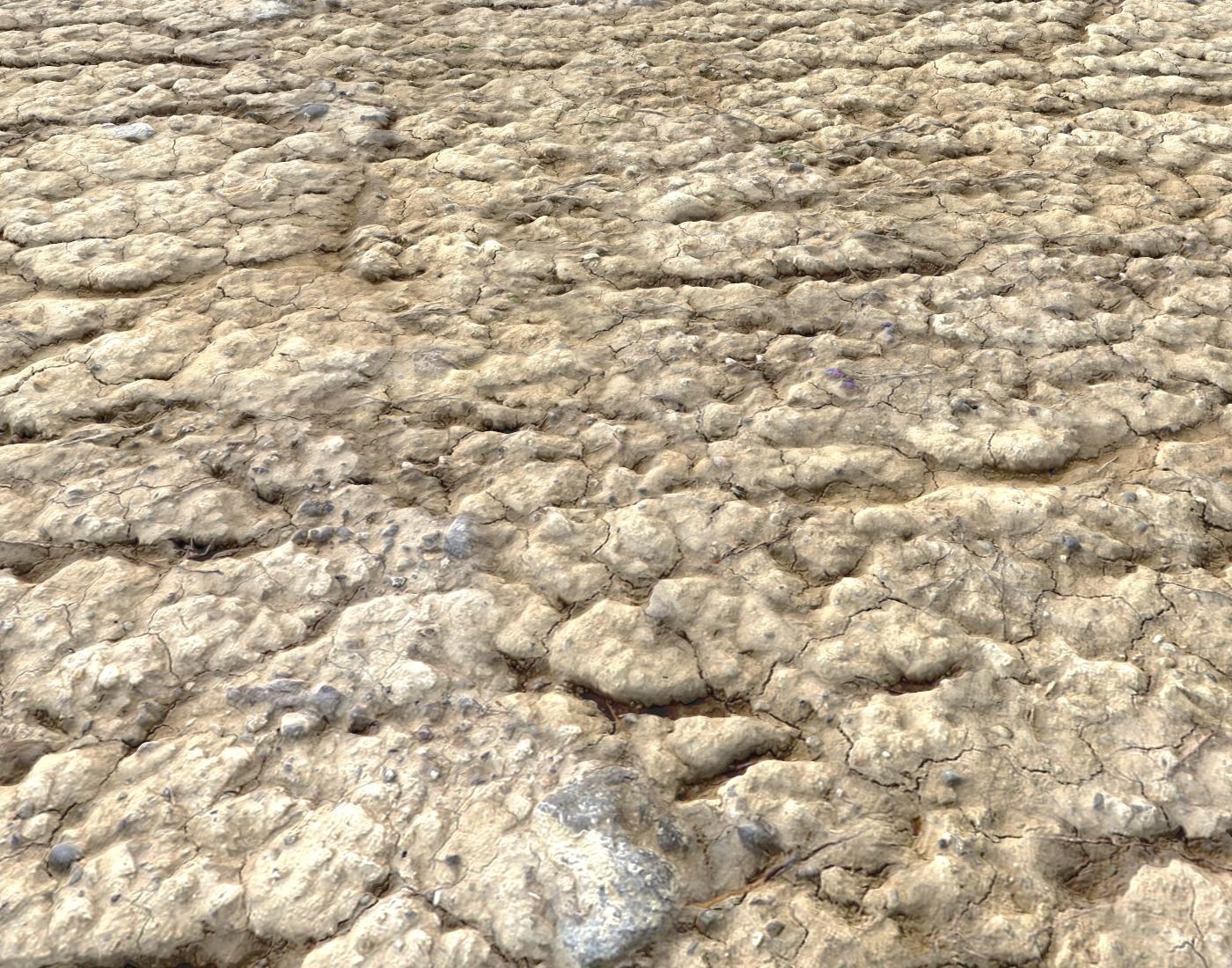 Wasteland ground texture PBR Pack 1 Texture_15