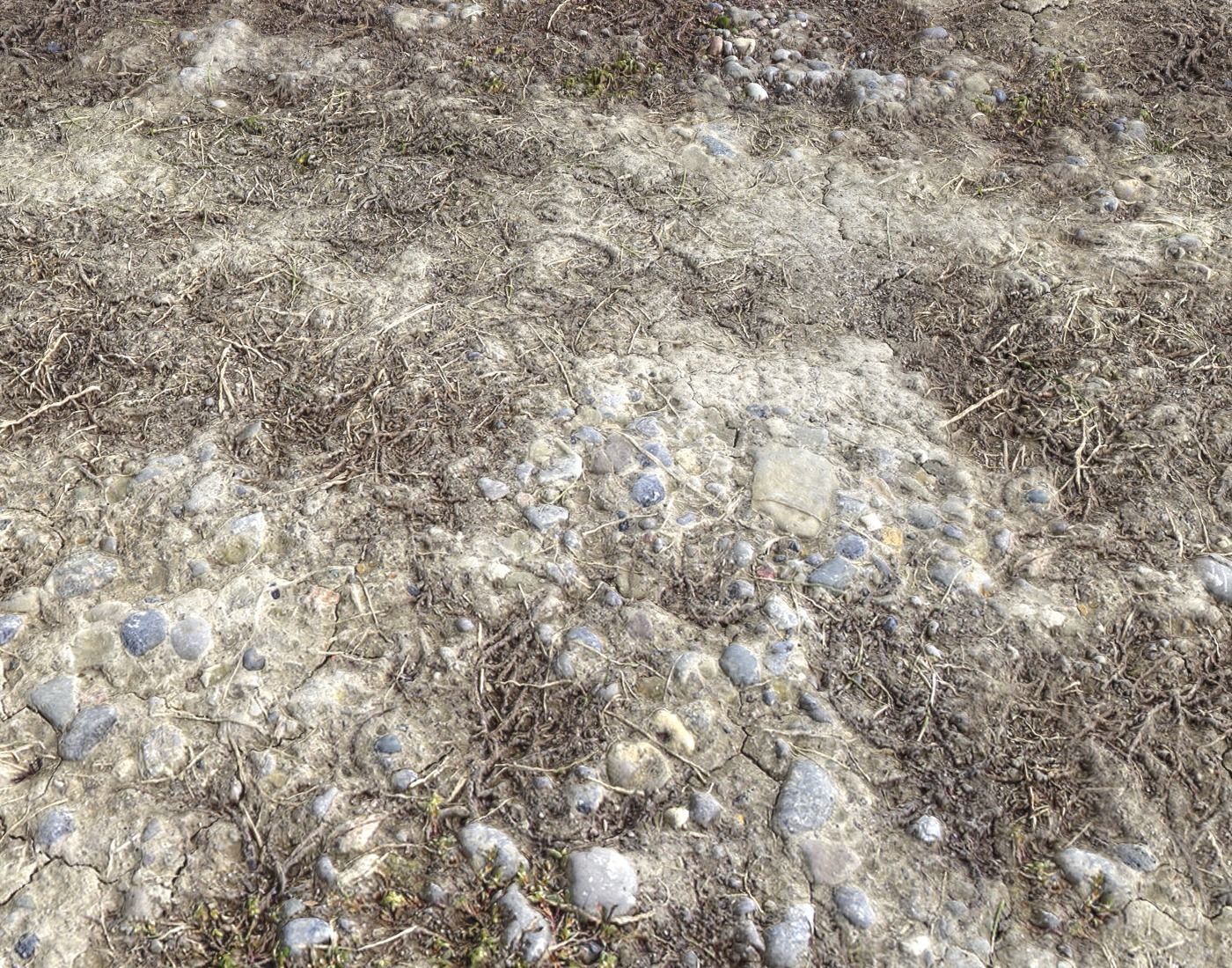 Wasteland ground texture PBR Pack 1 Texture_10