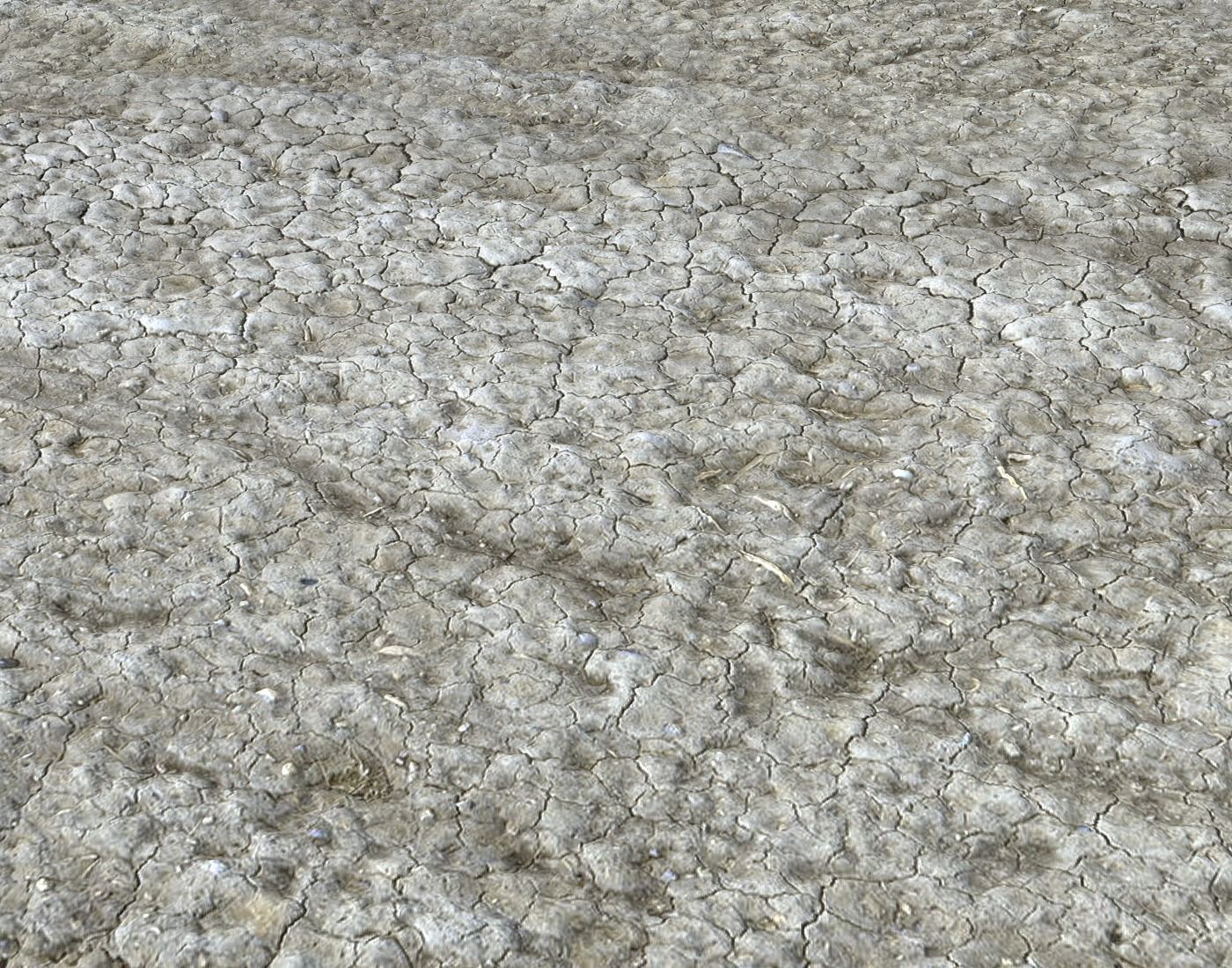 Wasteland ground texture PBR Pack 1 Texture_20