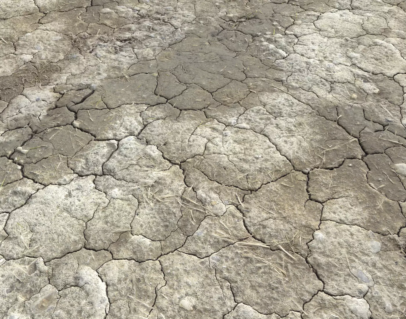 Wasteland ground texture PBR Pack 1 Texture_0