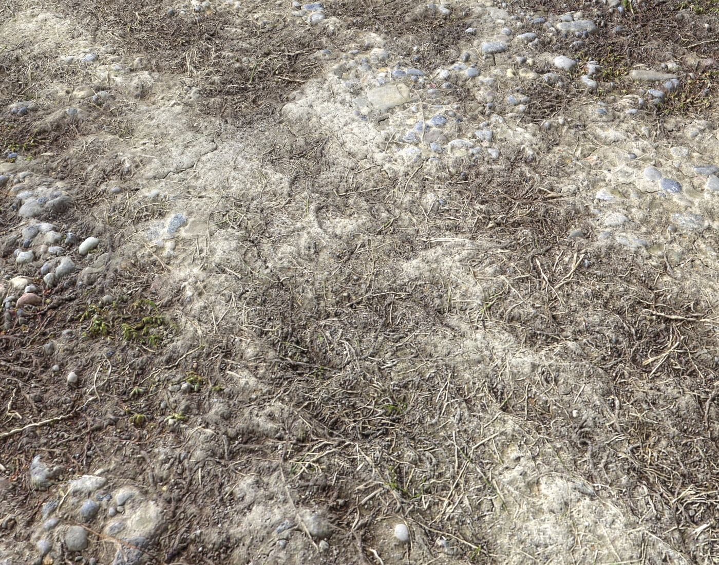 Wasteland ground texture PBR Pack 1 Texture_11