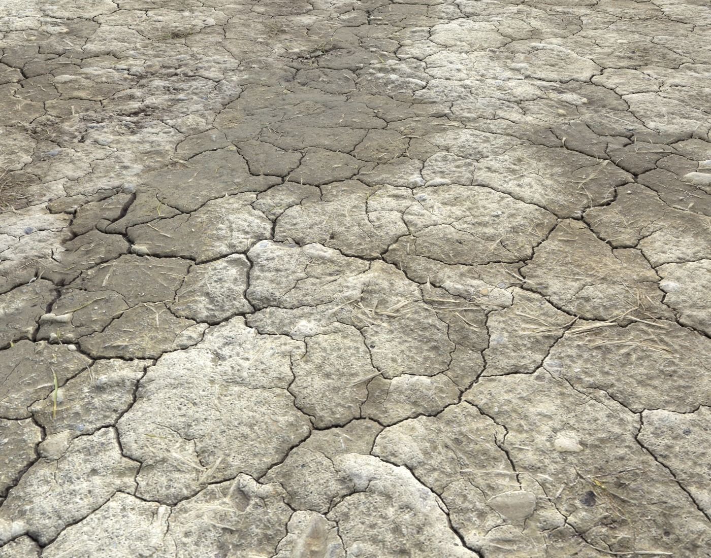 Wasteland ground texture PBR Pack 1 Texture_7