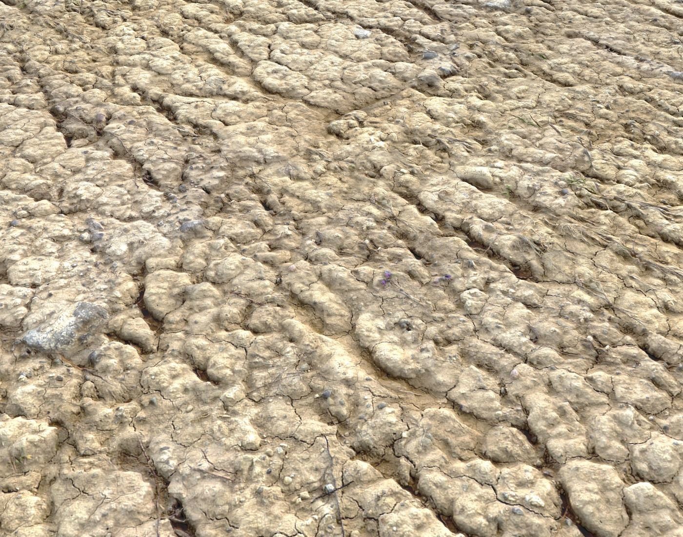 Wasteland ground texture PBR Pack 1 Texture_13